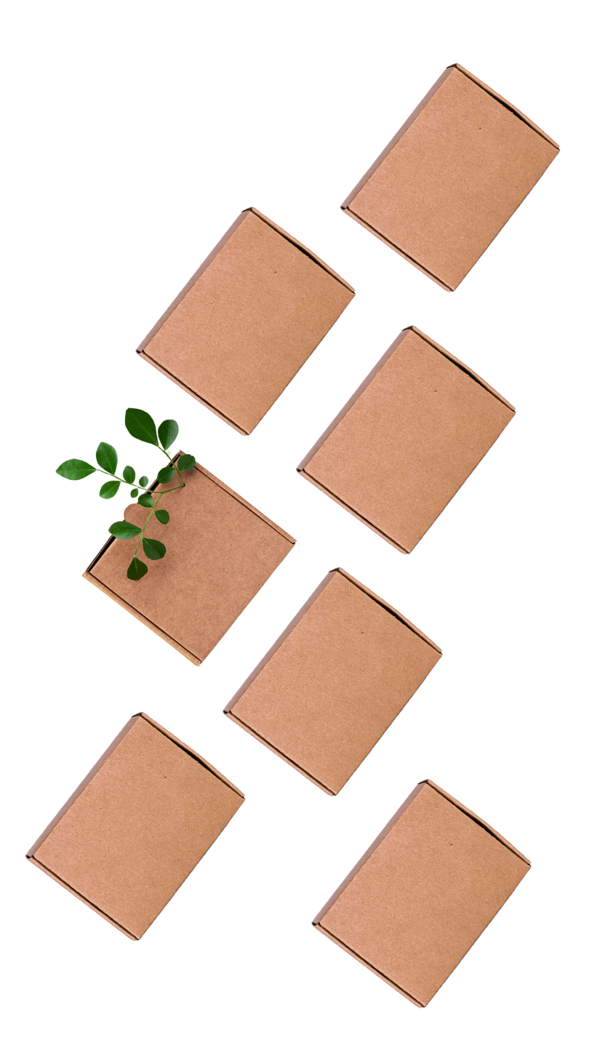 SB2L Logistique - emballages ecoresponsables (cartons)
